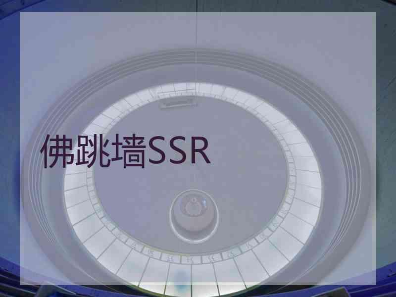 佛跳墙SSR
