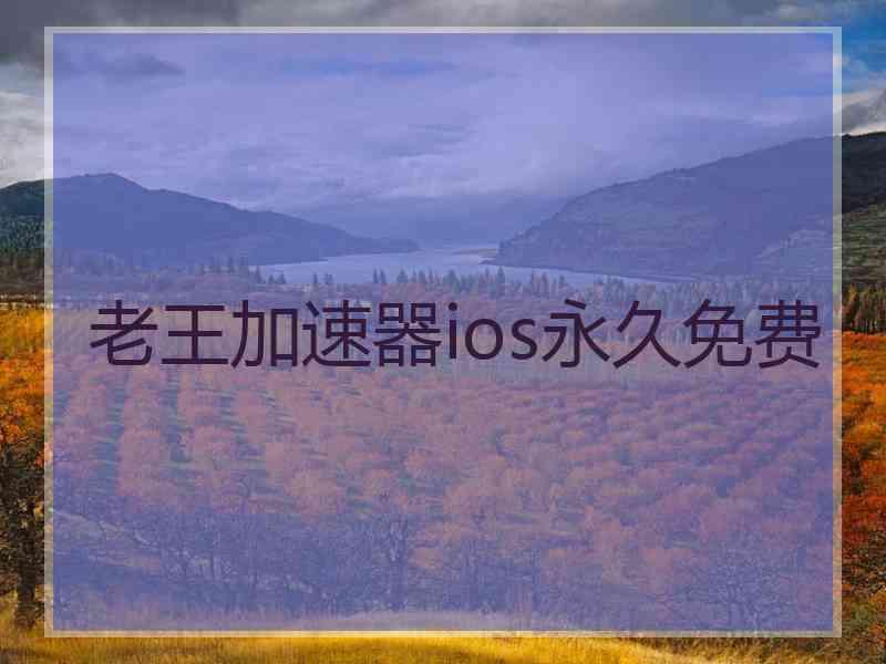 老王加速器ios永久免费
