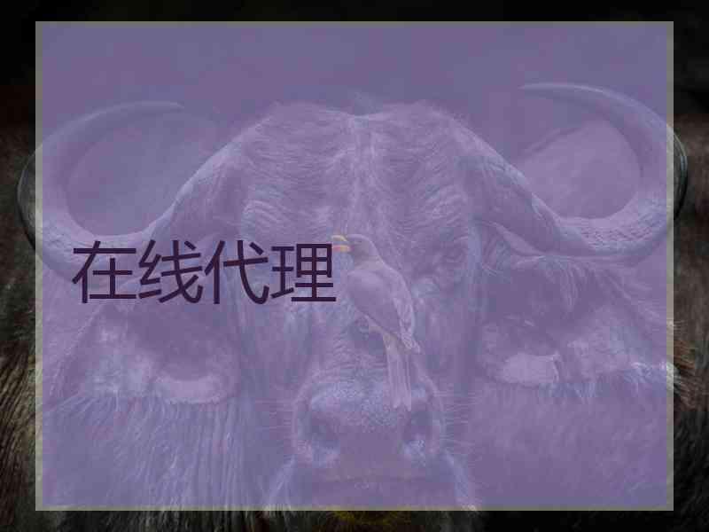 在线代理
