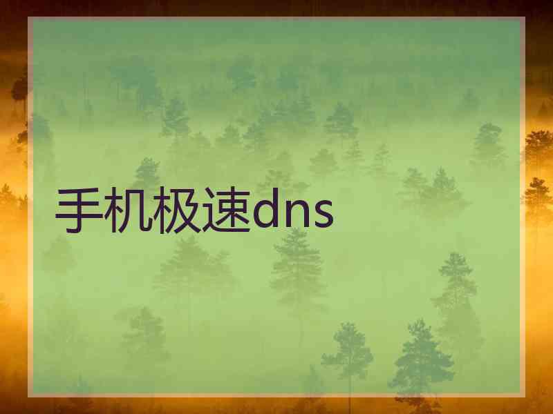 手机极速dns