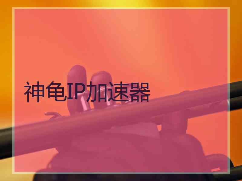 神龟IP加速器