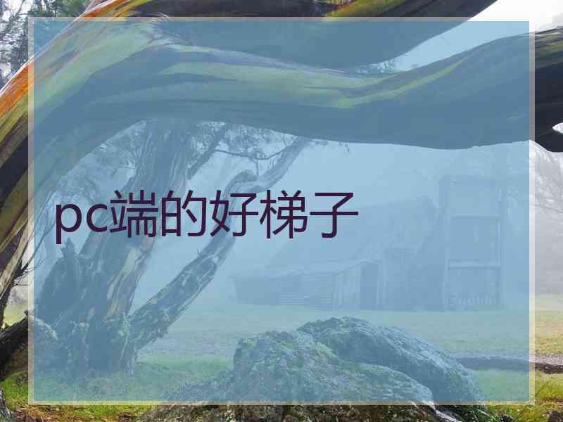pc端的好梯子
