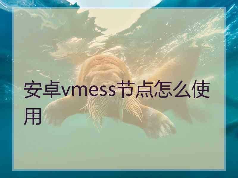 安卓vmess节点怎么使用