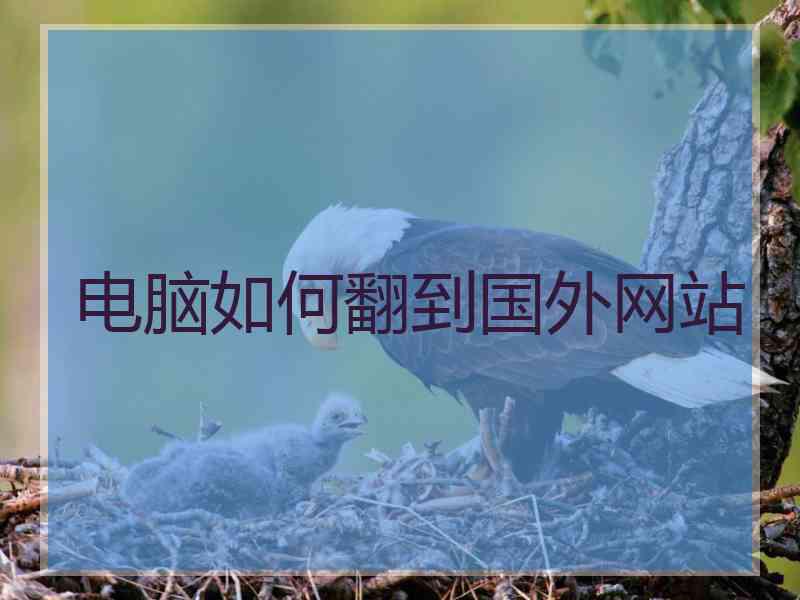 电脑如何翻到国外网站