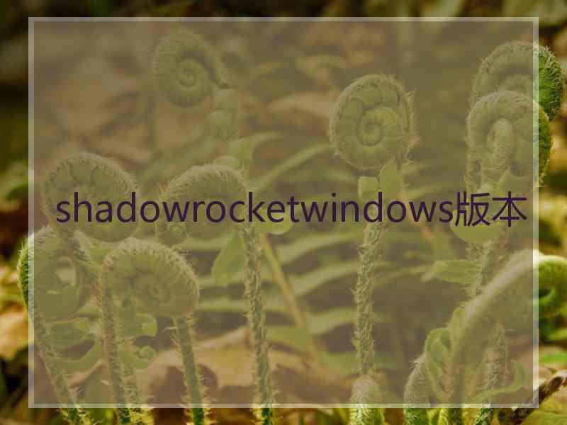shadowrocketwindows版本