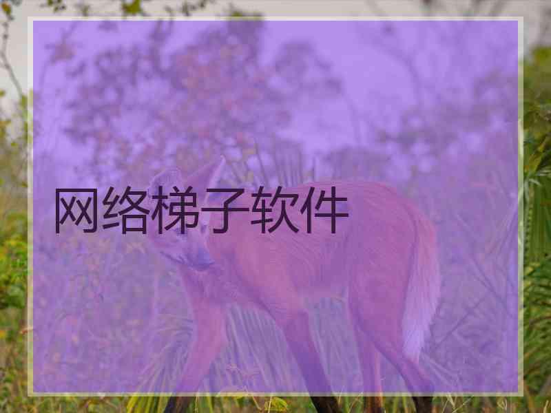 网络梯子软件