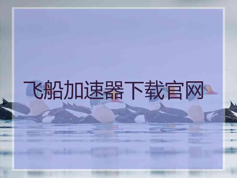 飞船加速器下载官网