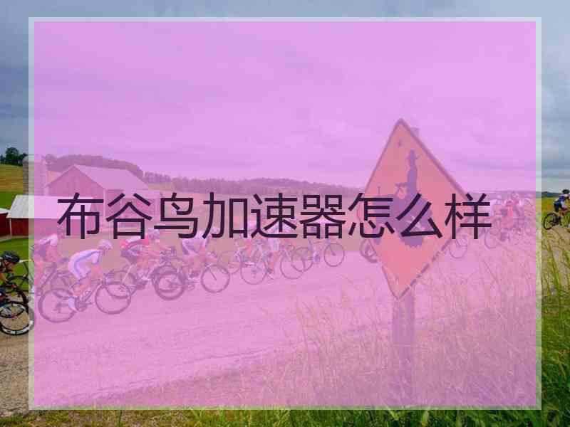 布谷鸟加速器怎么样