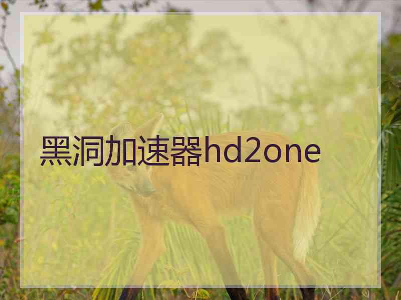 黑洞加速器hd2one