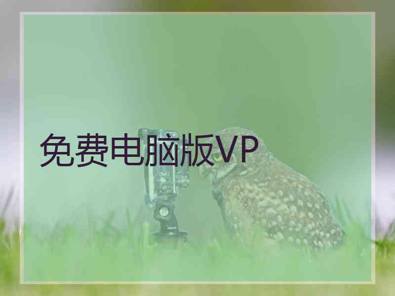 免费电脑版VP