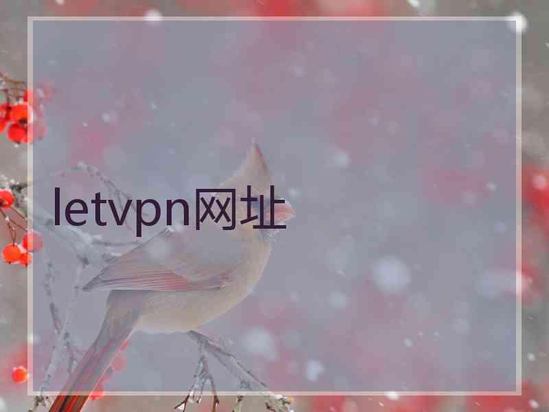 letvpn网址