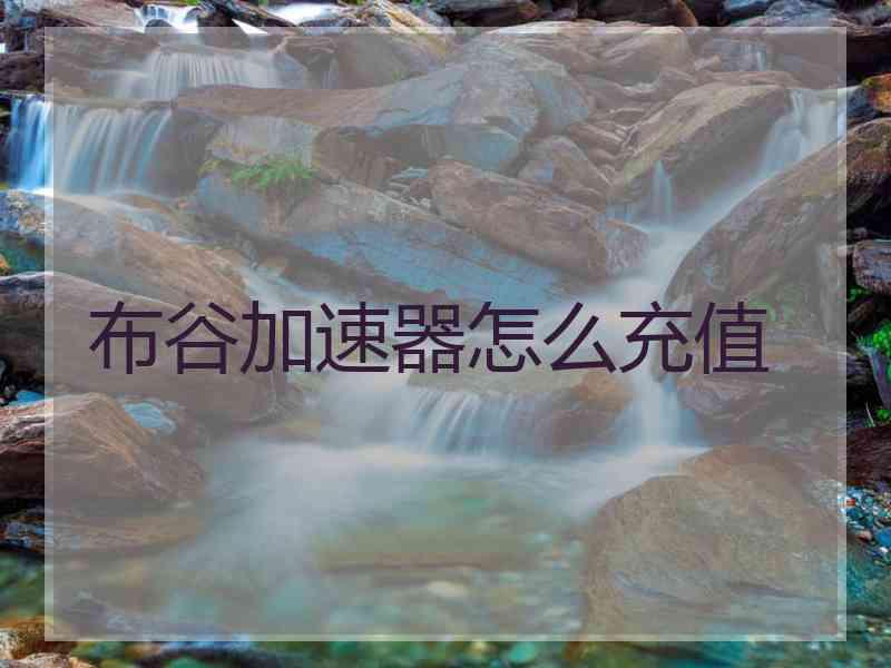 布谷加速器怎么充值