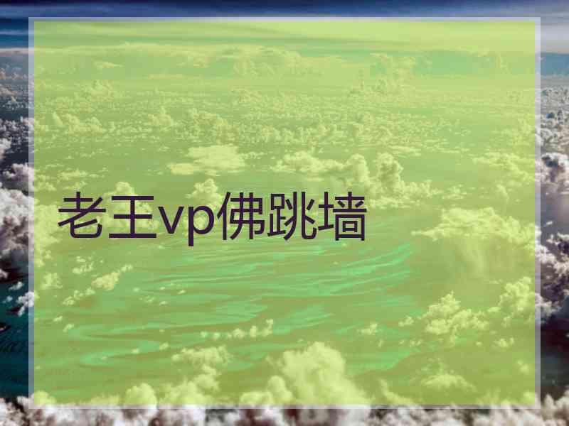老王vp佛跳墙