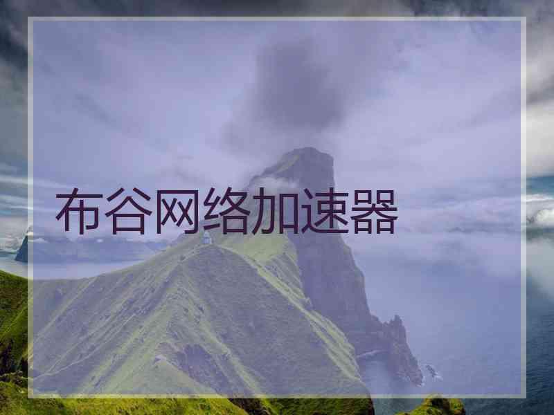 布谷网络加速器