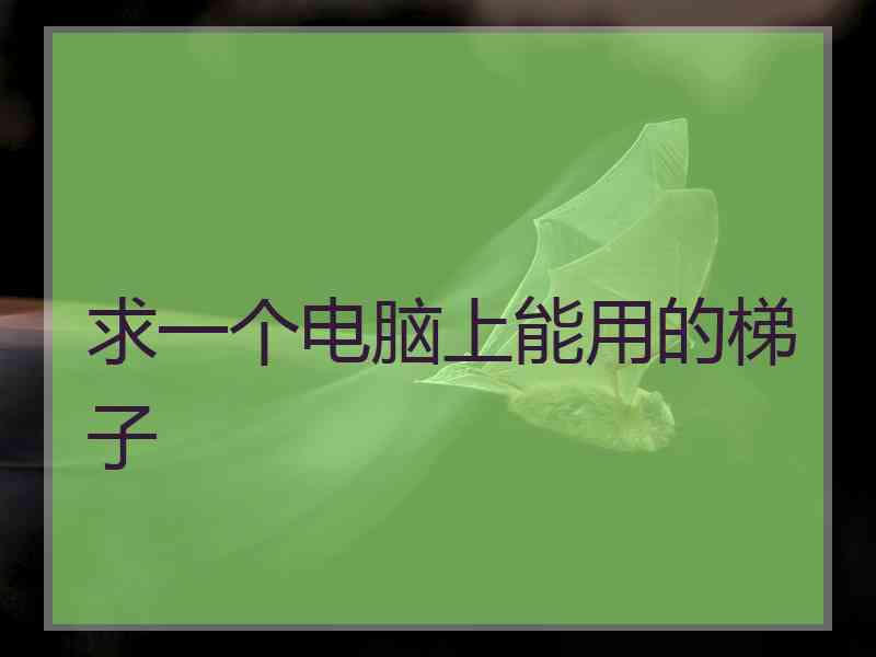 求一个电脑上能用的梯子