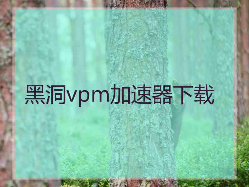 黑洞vpm加速器下载