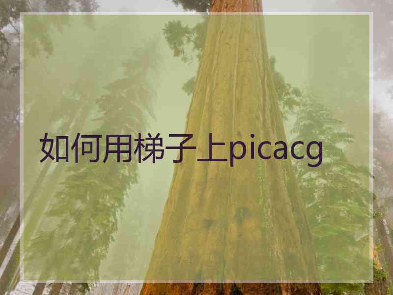 如何用梯子上picacg