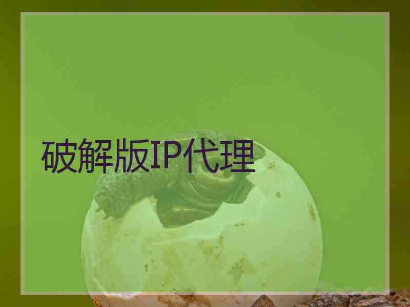 破解版IP代理