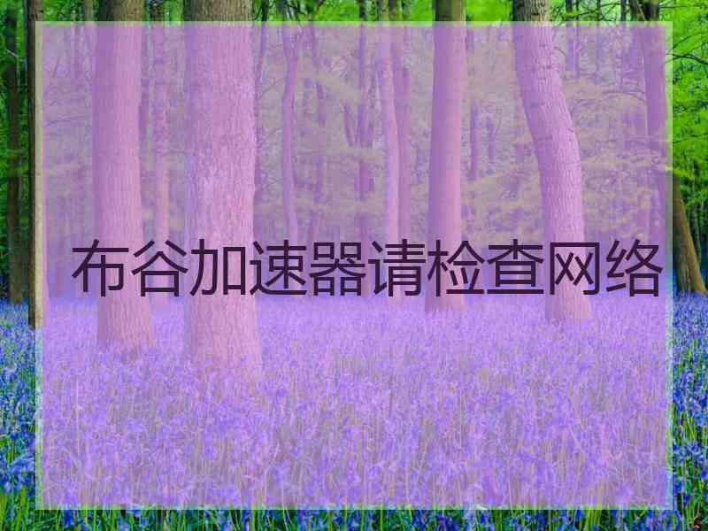 布谷加速器请检查网络