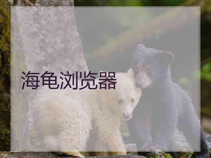 海龟浏览器