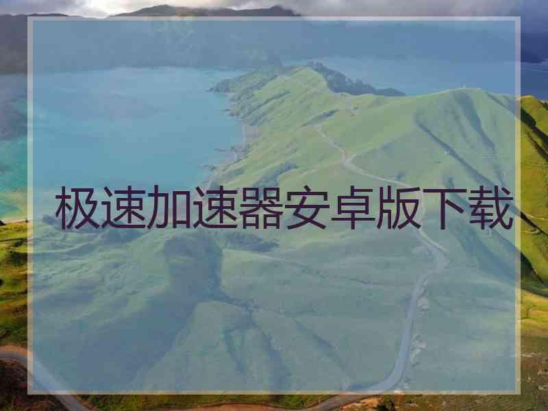 极速加速器安卓版下载