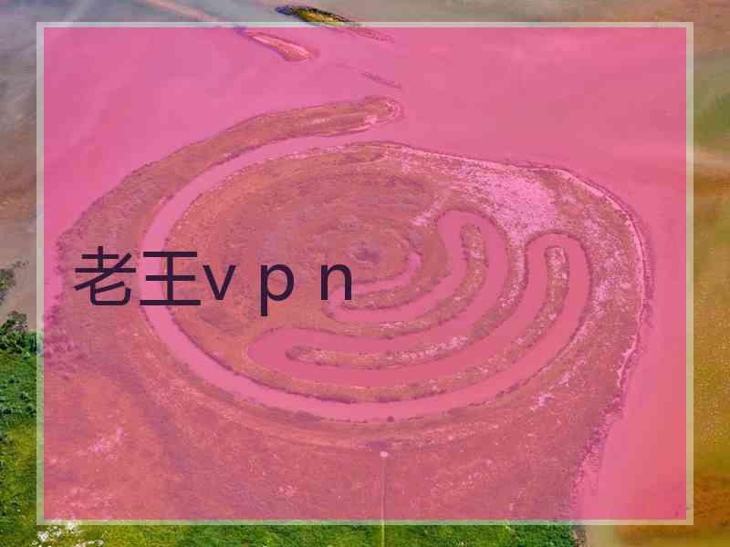 老王v p n