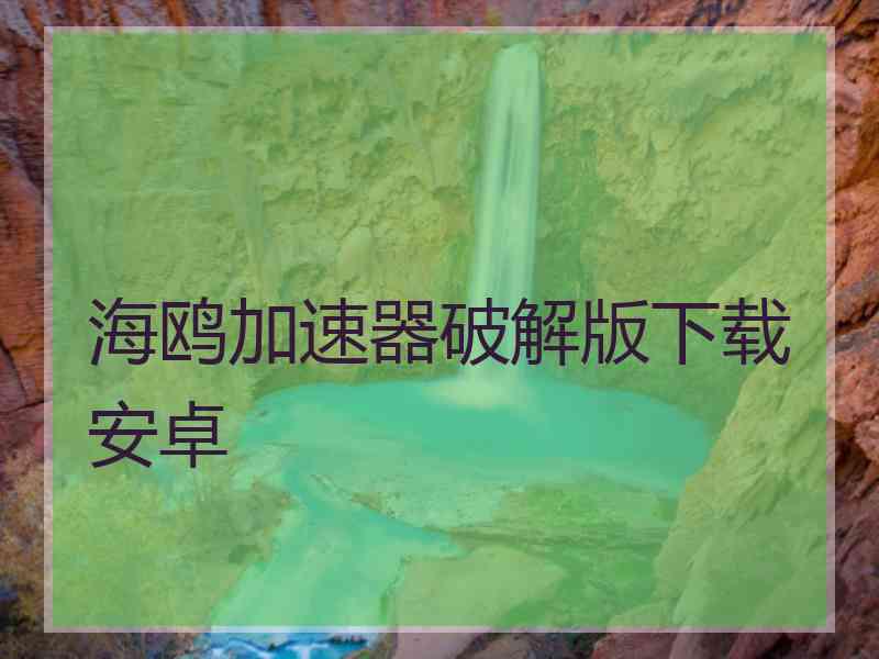 海鸥加速器破解版下载安卓