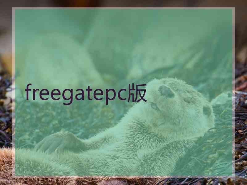 freegatepc版