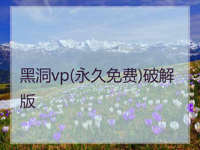 黑洞vp(永久免费)破解版