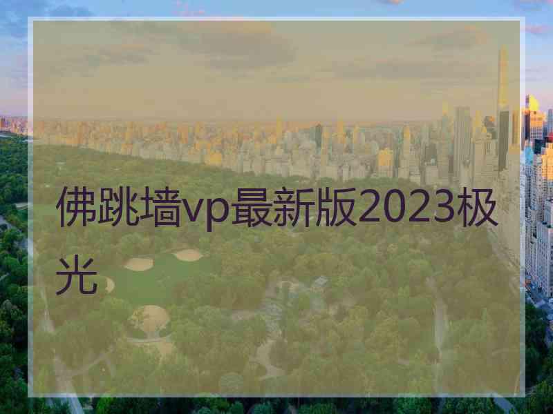 佛跳墙vp最新版2023极光