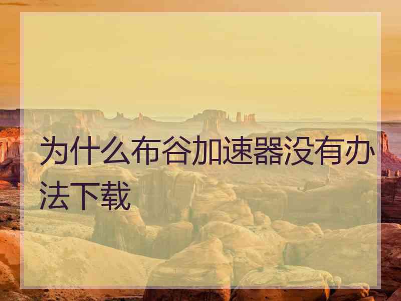 为什么布谷加速器没有办法下载