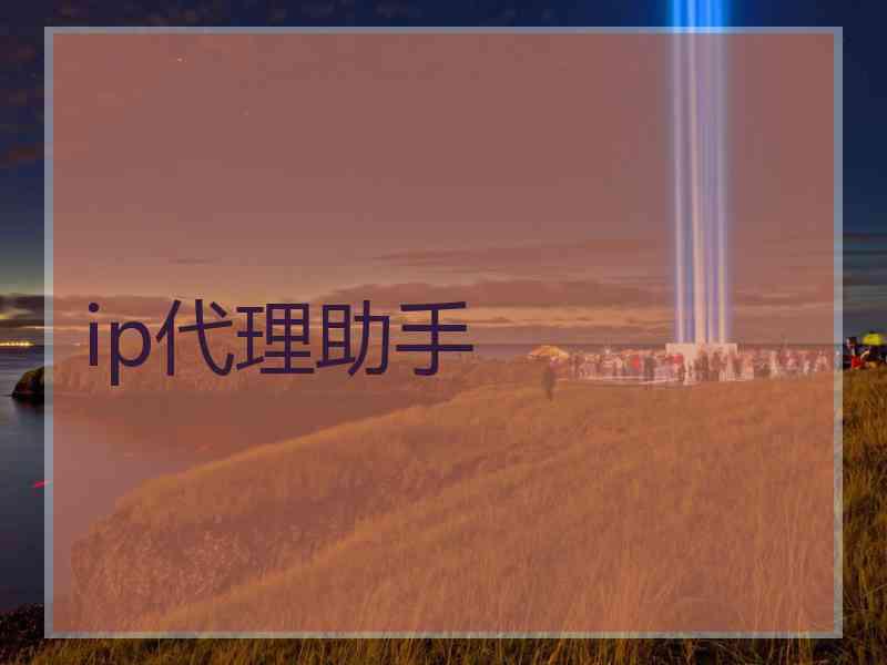 ip代理助手