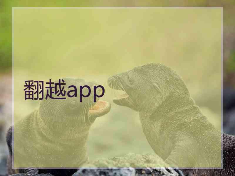 翻越app