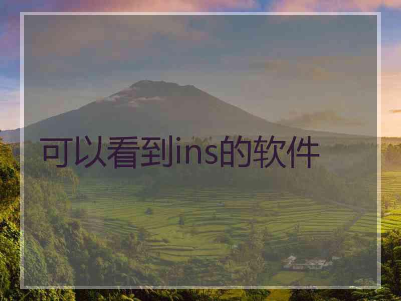 可以看到ins的软件