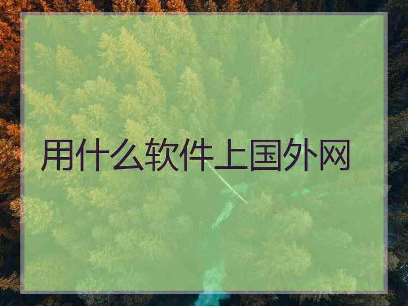 用什么软件上国外网