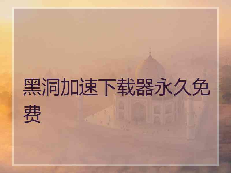 黑洞加速下载器永久免费