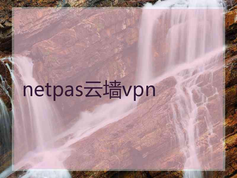 netpas云墙vpn