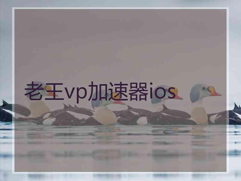 老王vp加速器ios