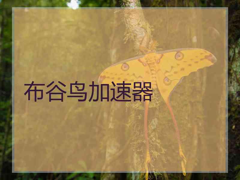 布谷鸟加速器