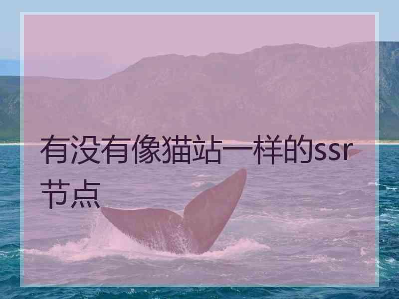有没有像猫站一样的ssr节点