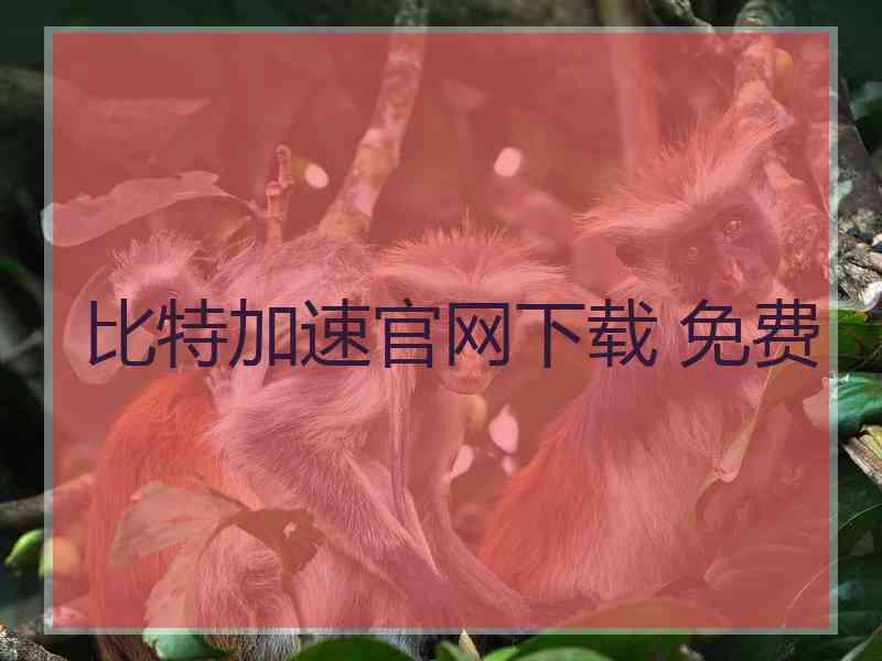 比特加速官网下载 免费