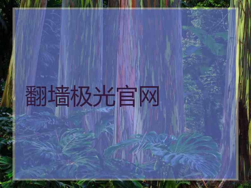 翻墙极光官网