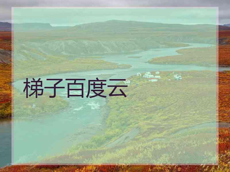 梯子百度云