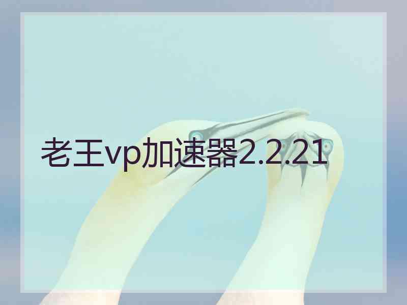老王vp加速器2.2.21