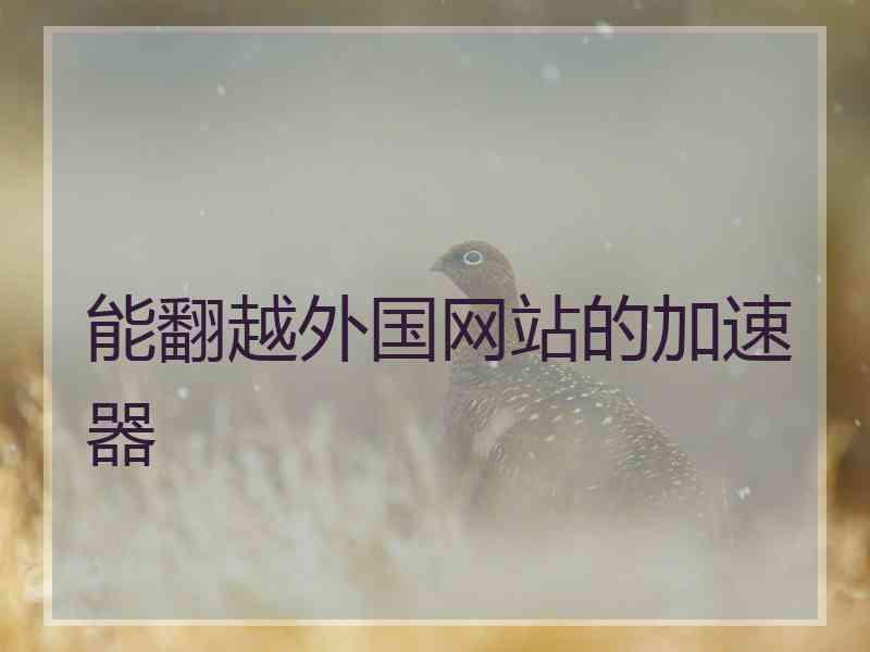 能翻越外国网站的加速器