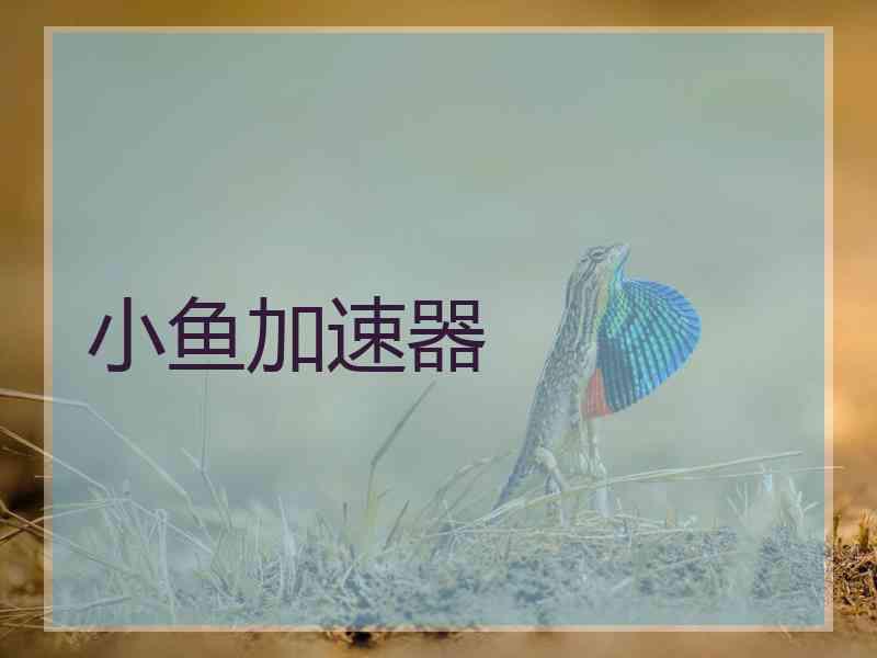 小鱼加速器