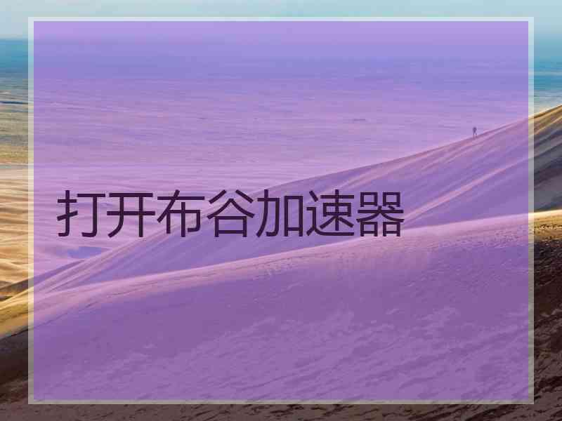 打开布谷加速器