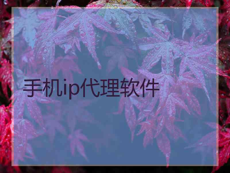 手机ip代理软件