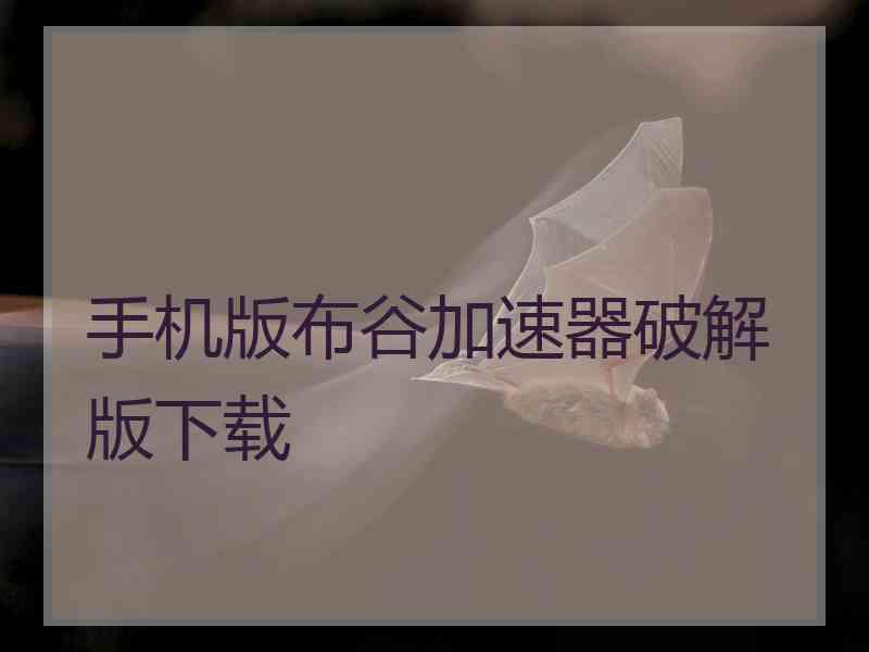 手机版布谷加速器破解版下载