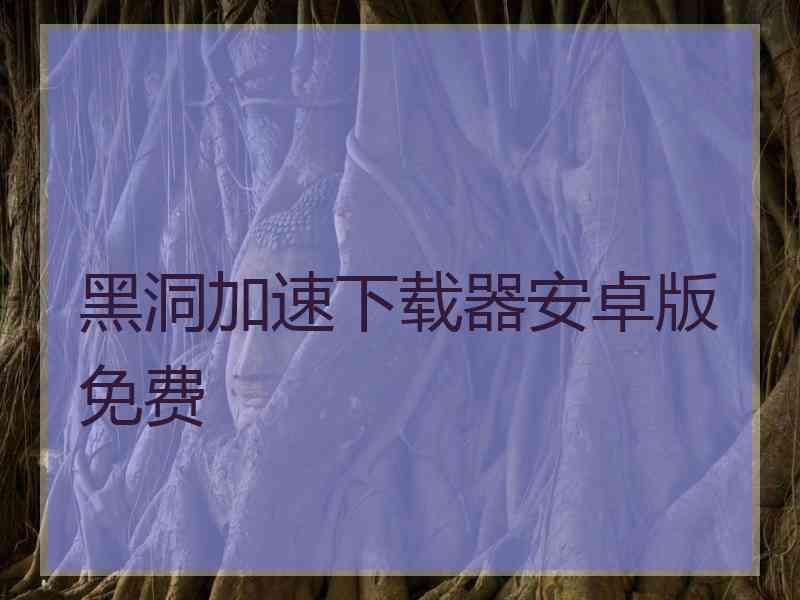 黑洞加速下载器安卓版免费